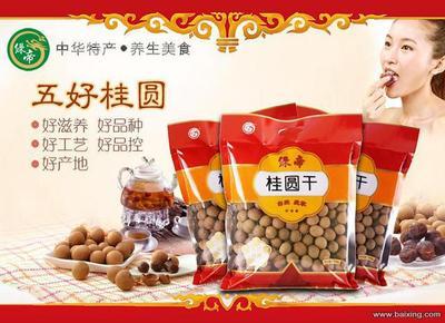 綠帝廠家推出2013年新貨3A級莆田桂圓肉干 品質與營養(yǎng)的完美結合