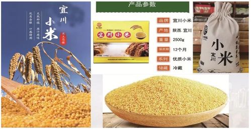 宜川縣延安紅農(nóng)產(chǎn)品貿(mào)易有限責(zé)任公司 打造黃土高原特色農(nóng)產(chǎn)品的閃亮名片