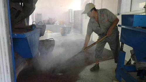 子承父業(yè)守匠心，誠信經(jīng)營(yíng)耀非遺——池州老字號(hào)農(nóng)產(chǎn)品的傳承與新生